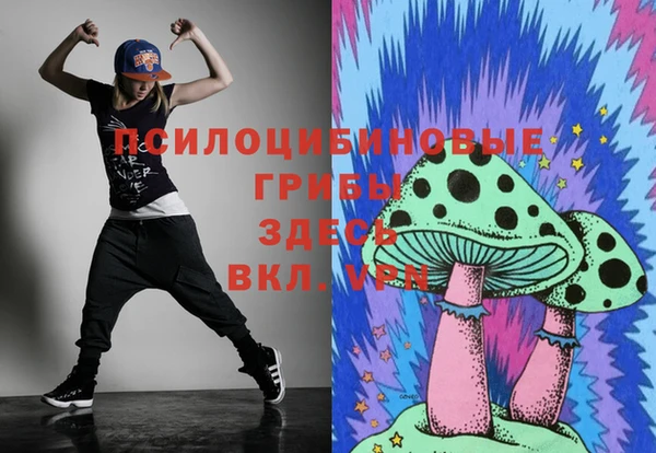 молекула духа Магас
