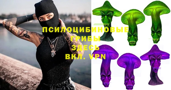молекула духа Магас