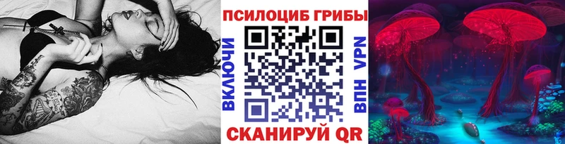 Купить где  Таштагол  Псилоцибиновые грибы Psilocybe 